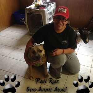 Meet your Posher, Nancy